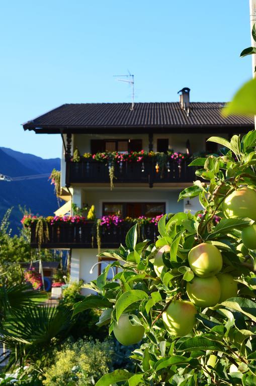 Zimmervermietung Groeberhof Schenna Zewnętrze zdjęcie
